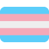Transgender pride flag